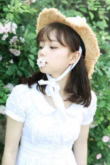 海贼王通缉令